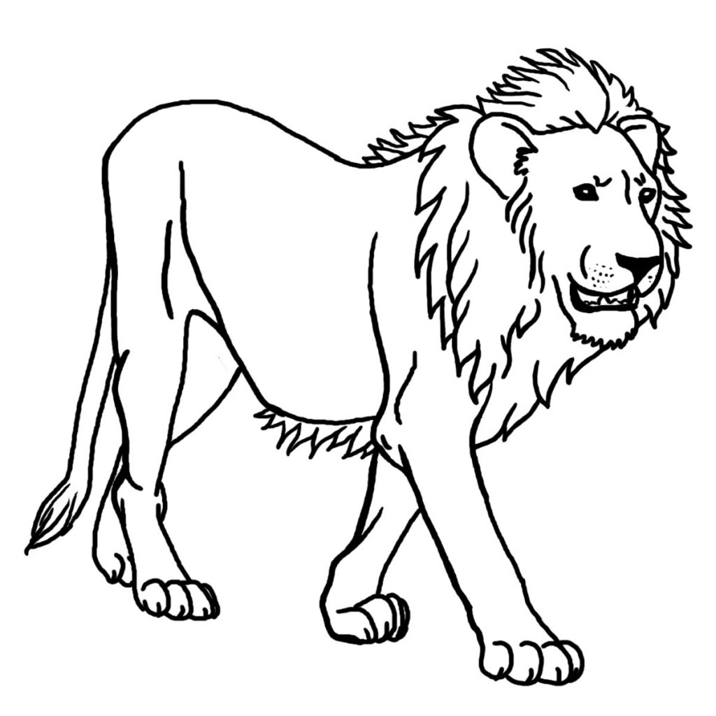 1024x1024 Lion Coloring Pages