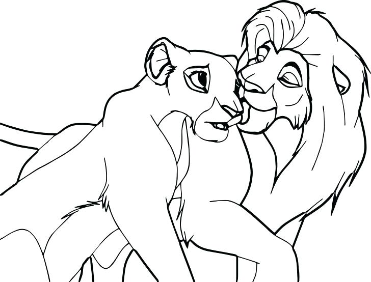 728x554 Sea Lion Coloring Pages