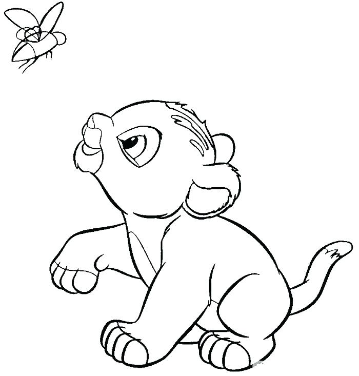 700x733 Mountain Lion Coloring Pages Printable King The Free
