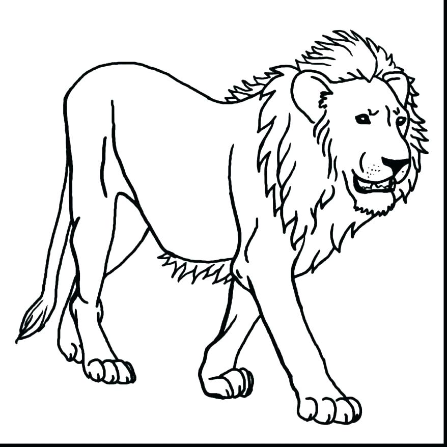 878x878 Coloring Picture Of A Lion