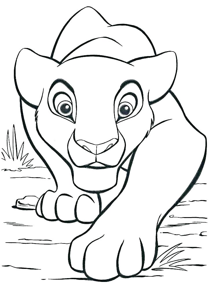 736x1003 Lion Cub Coloring Pages