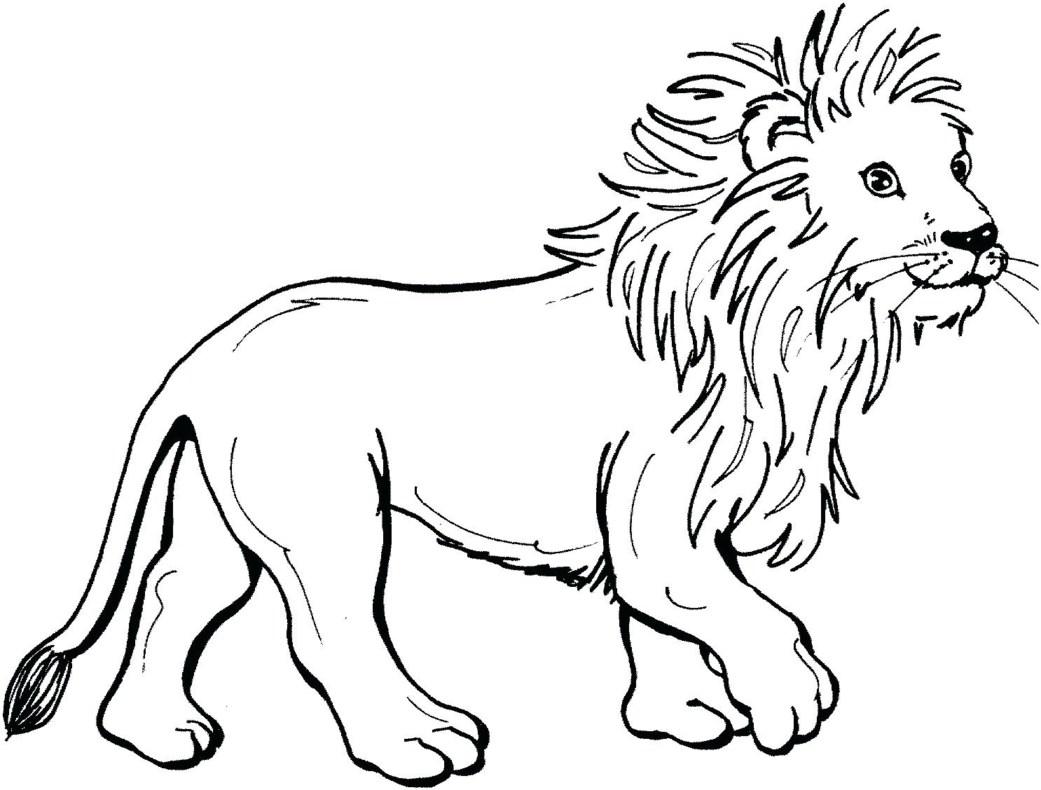 1486x1128 Cute Baby Lion Coloring Pages Pictures Cub Page Mountain Colouring