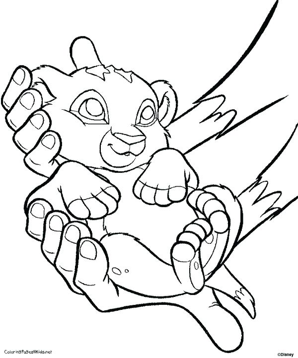 600x721 Baby Lion Coloring Pages Baby Lion Coloring Page Best Pages Images