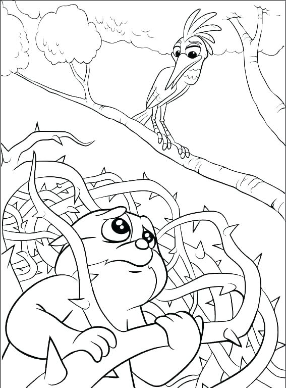 567x768 Printable Lion Coloring Pages For Kids Lion Face Coloring Page