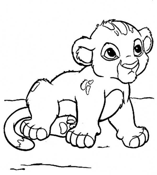 600x666 Simba Coloring Pages