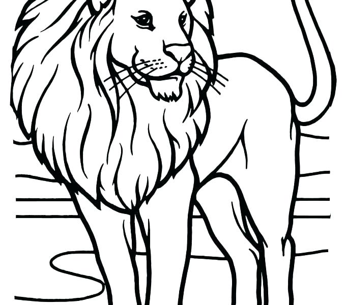678x600 Lion Coloring Sheet Lion Coloring Book Also Lion Coloring Sheet