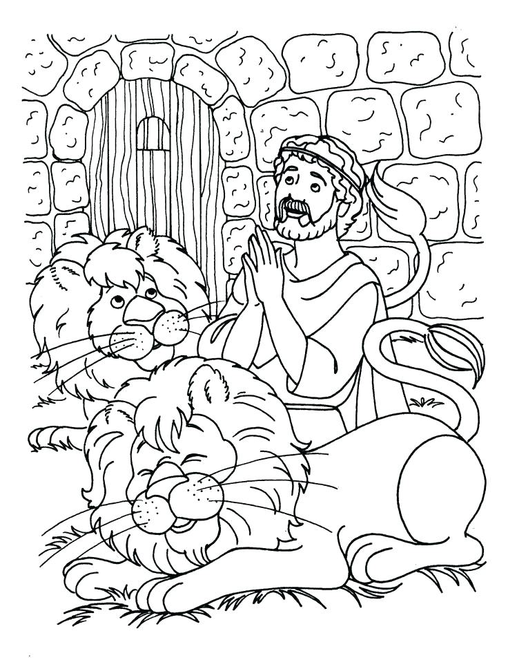 736x952 Lions Coloring Pages Lion Family Coloring Pages Lions Football