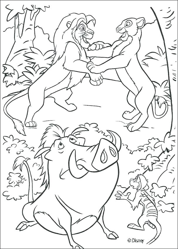 607x850 Coloring Page Of A Lion Coloring Pages Collection