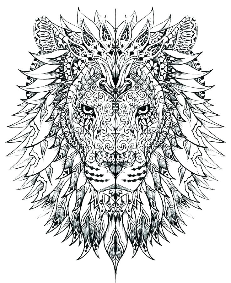 736x901 Coloring Pages Of Lions Lion Face Coloring Page Lion Head Coloring