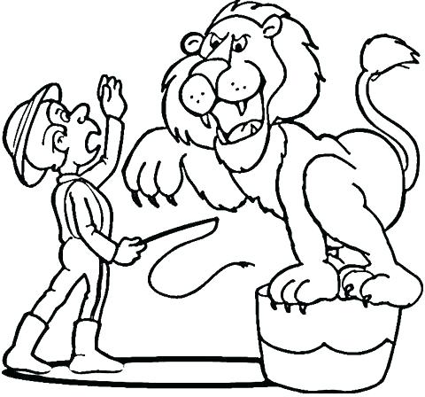 480x448 Lion Head Coloring Page Between The Lions Coloring Pages Click