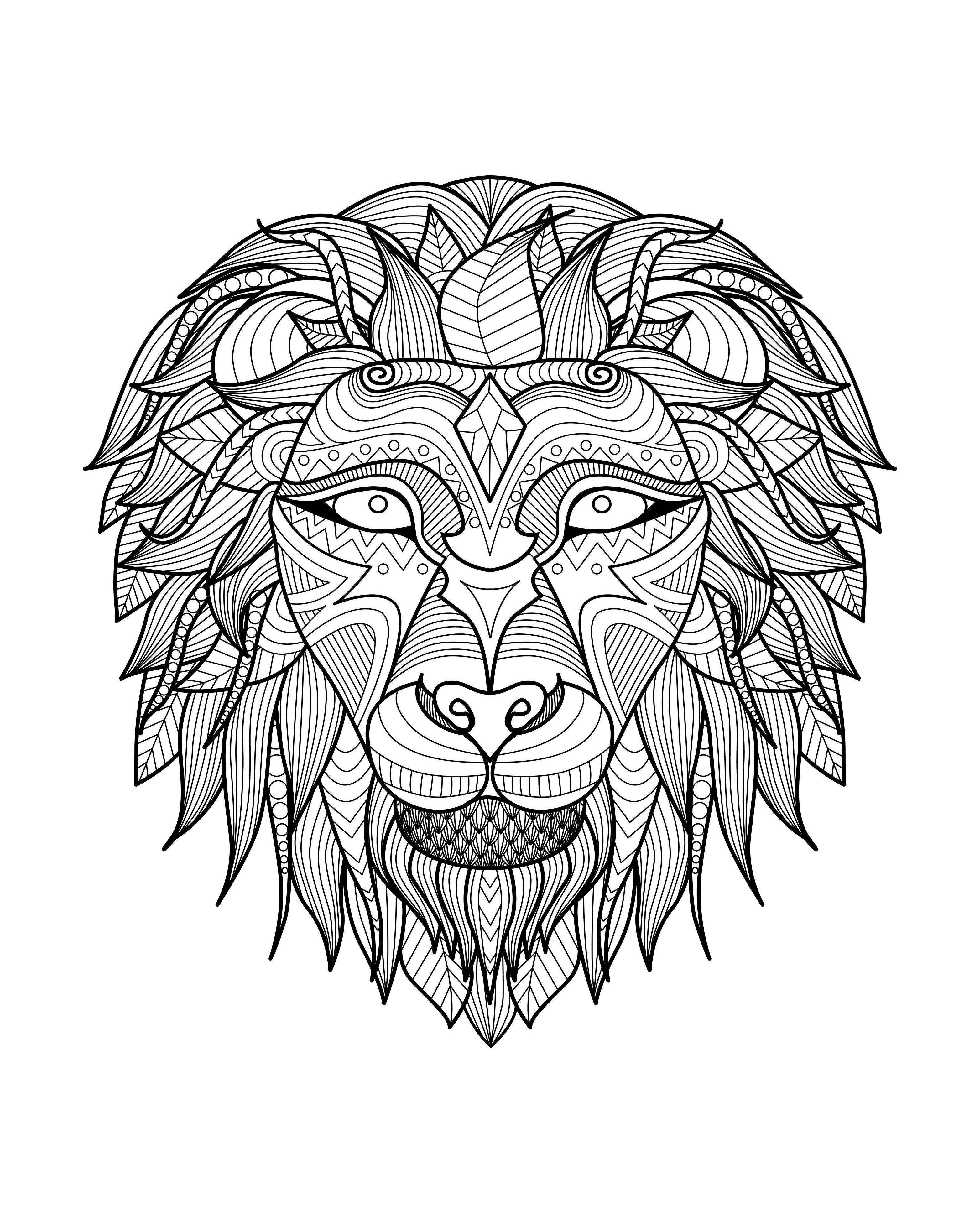 3128x3907 Africa Lion Head