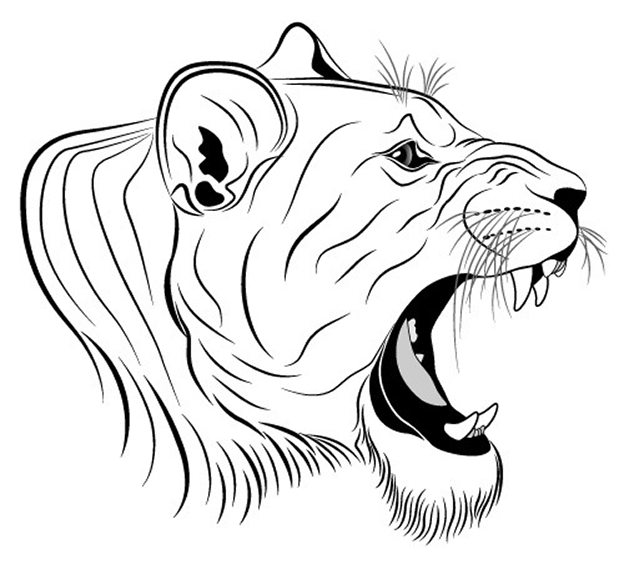 624x570 Roaring Lion Head Free Coloring Page Adults, Animals Coloring Pages