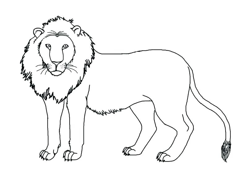 792x612 Simba And Nala Coloring Pages Simba And Nala Coloring Pages Lion