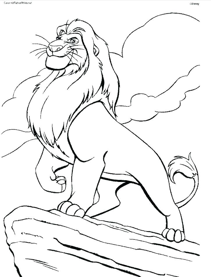 725x953 Lion King Printable Coloring Pages