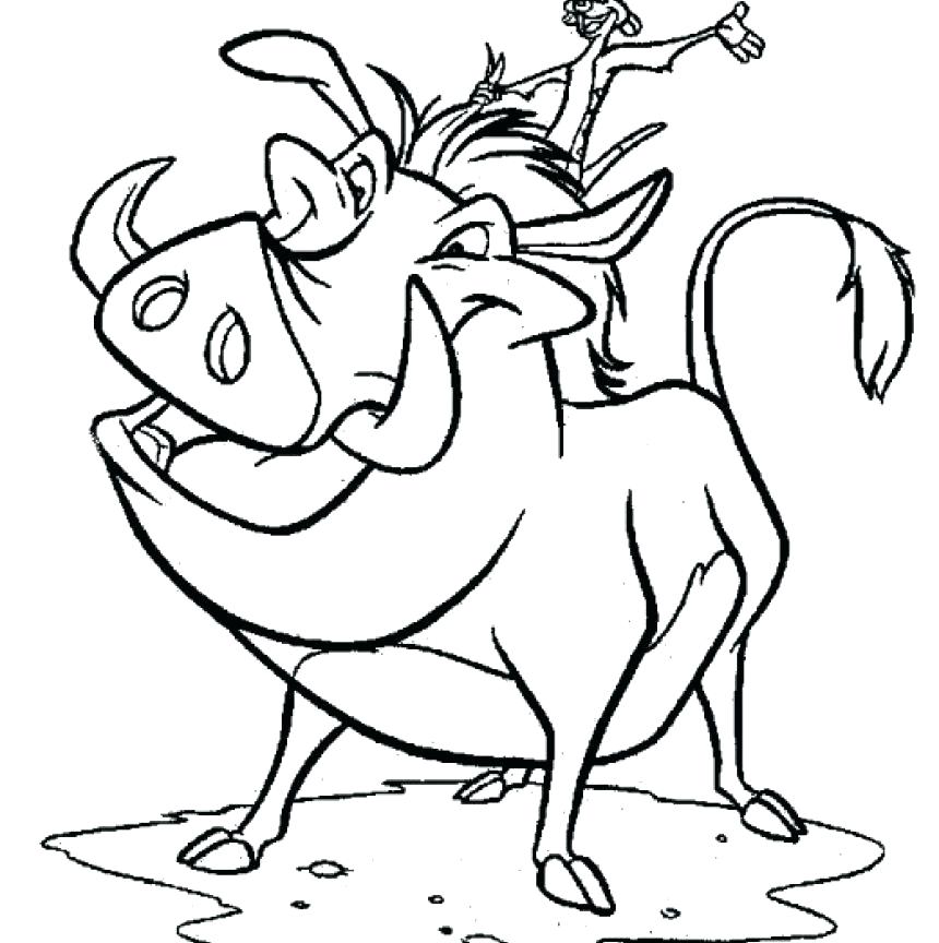 860x864 Nala Coloring Pages