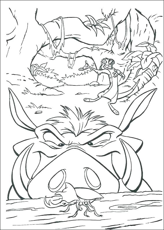 567x794 Coloring Pictures Of Lions Lion King Printable Coloring Pages