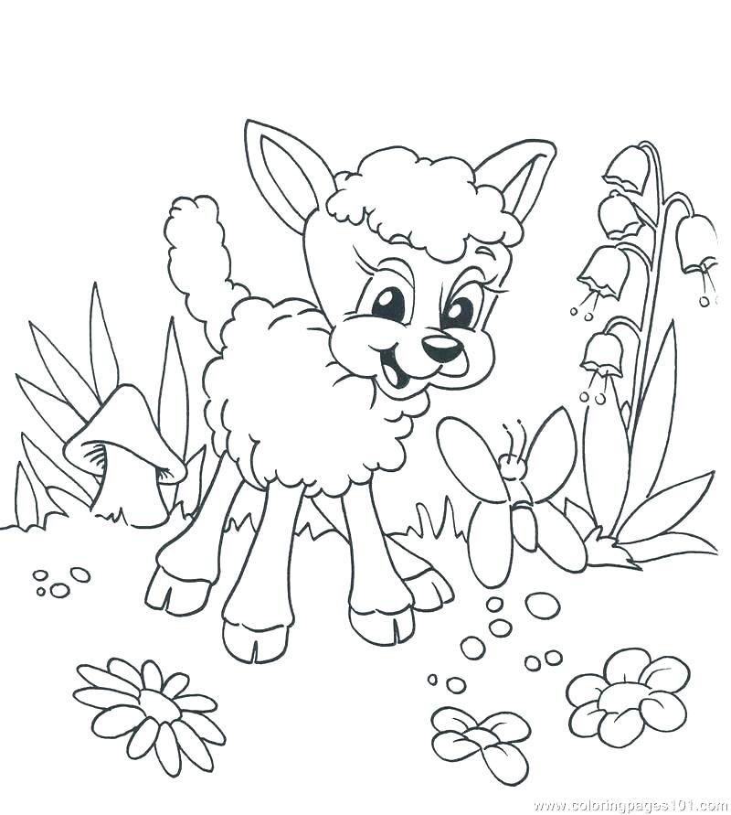 800x891 Lamb Coloring Page Coloring Pages Draw A Lion Lion Coloring Pages