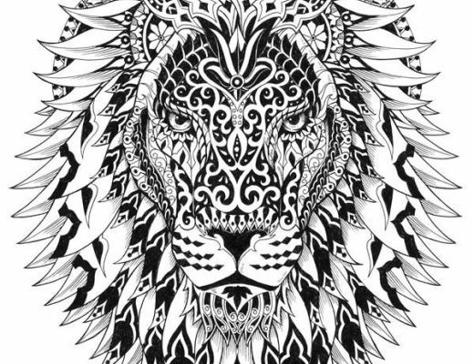 520x400 Adult Coloring Pages Lion