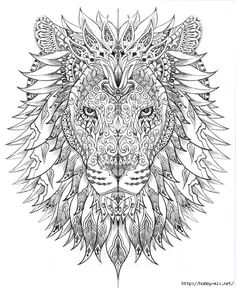 236x288 Leeuw Adult Coloring Pages Printable Adult