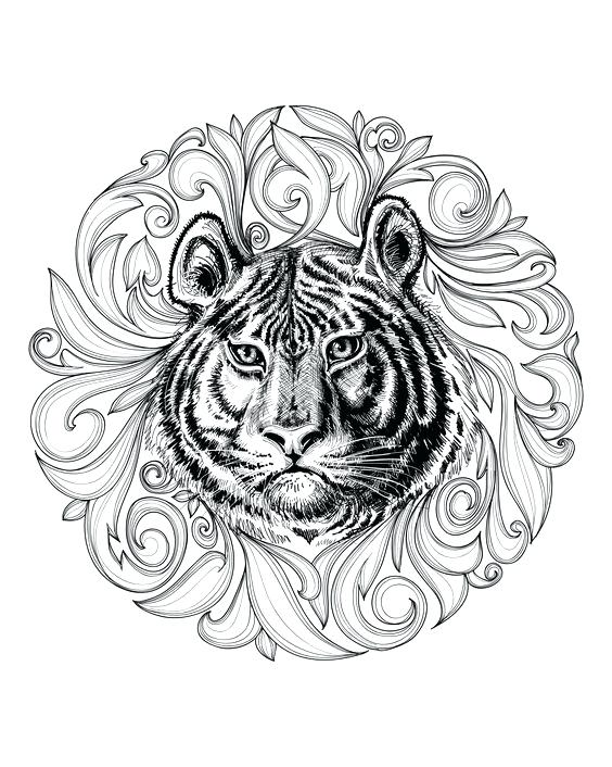 564x706 Lion Mandala Coloring Sheets Pages Marvelous Color Sheet Image