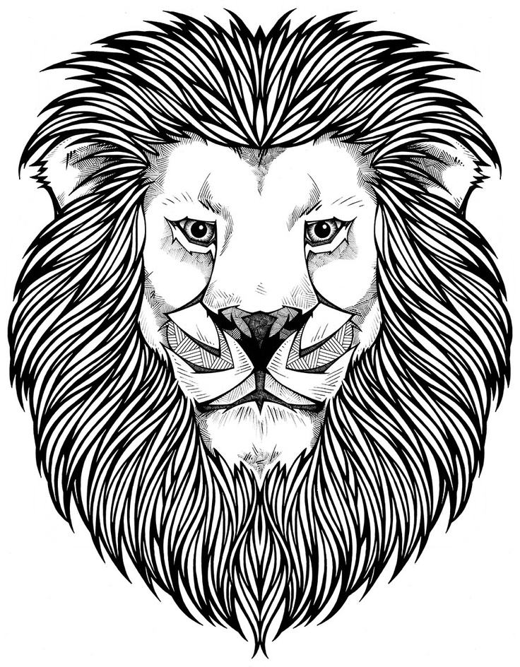 736x944 Best Lion Coloring Pages Ideas On Mandala Lion Lion
