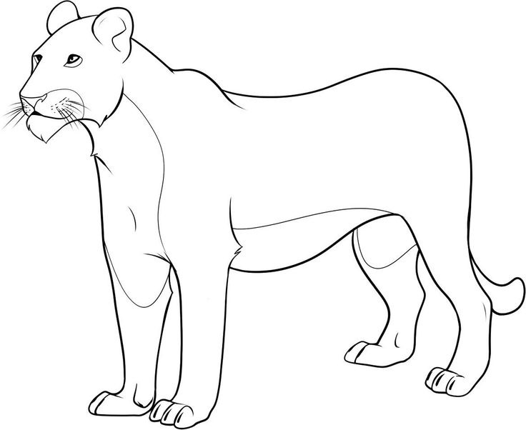 736x602 Lion Coloring Pages Free Printable Lion Coloring Pages