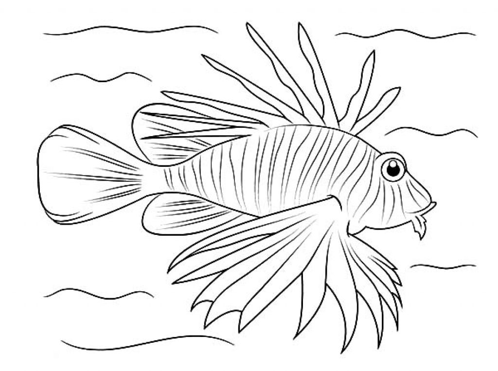 1024x763 Lionfish Coloring Page