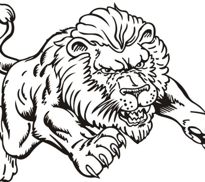 678x600 Lion Pictures To Colour Coloring Page