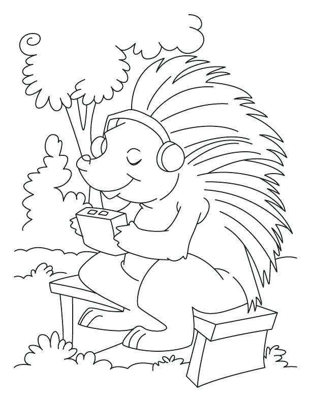 612x792 Porcupine Coloring Page Porcupine Listening To Music Coloring