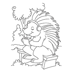 230x230 Top Free Printable Porcupine Coloring Pages Online