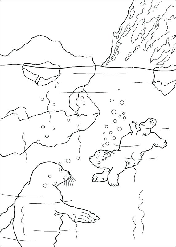 571x800 Color Pages Polar Bears The Little Bear Coloring That Page