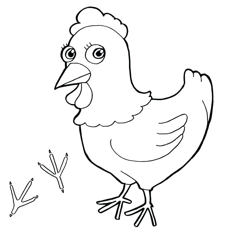 800x800 Hen Coloring Pages The Little Red Hen Coloring Page Animal