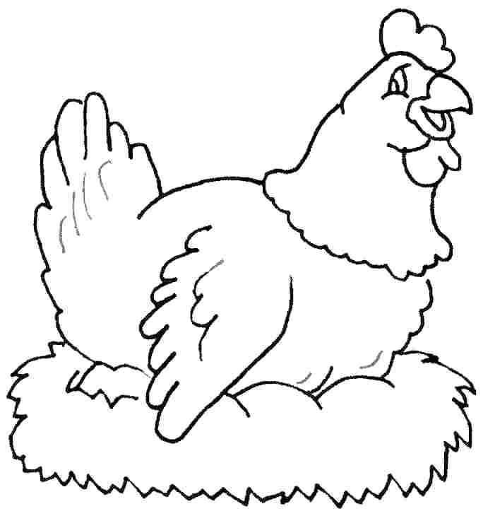 684x730 Hen Coloring Pages The Little Red Hen Coloring Page Free Download