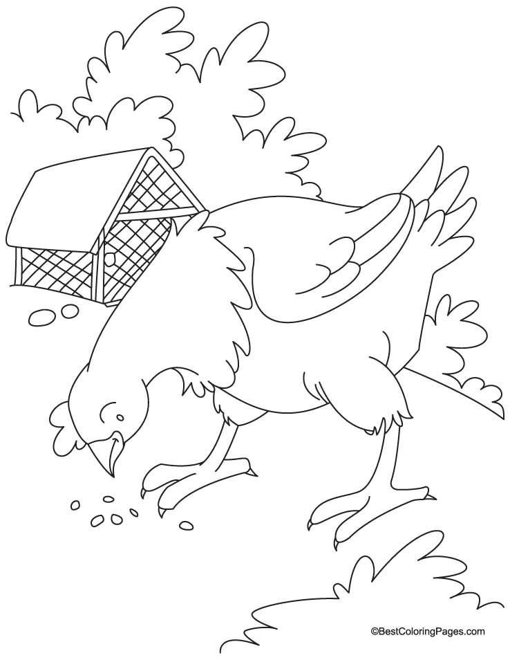 738x954 Little Red Hen Coloring Pages Many Interesting Cliparts Bright