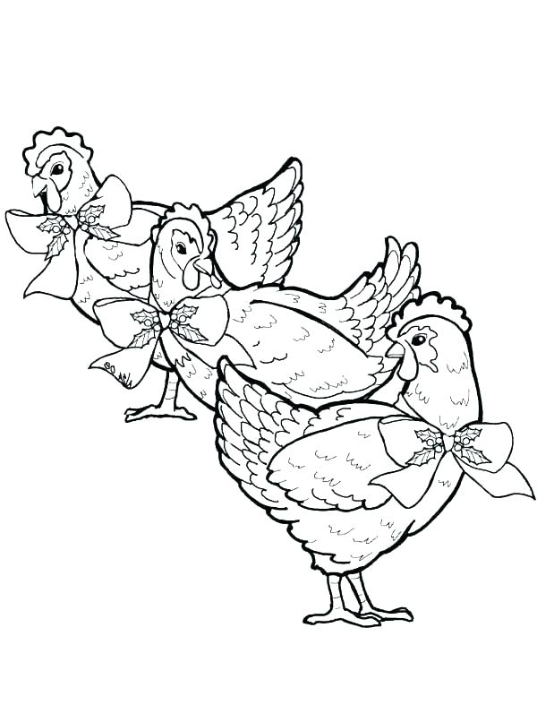 600x806 Hen Coloring Page Chicken C Three French Hens Coloring Page Hen