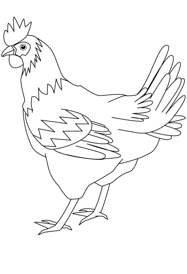 600x880 The Little Red Hen Coloring Page Hen Coloring Page Drawing Healthy