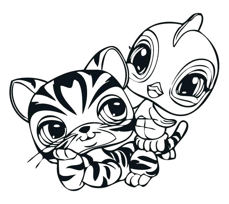 736x656 Pet Shop Coloring Pages Best Of Littlest Pet Shop Cat Coloring