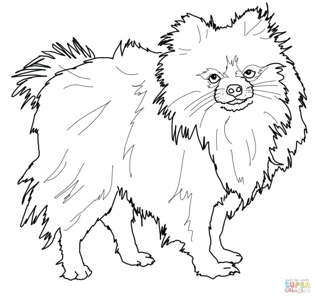 1024x969 Coloring Pages Pet Coloring Pages Dog Animal Page Cute Littlest