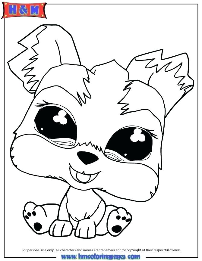 670x867 Pet Shop Coloring Pages Free Littlest Pet Shop To Color Online New