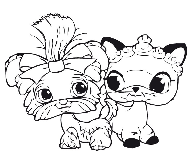 800x680 Littlest Pet Shop Coloring Pages To Print