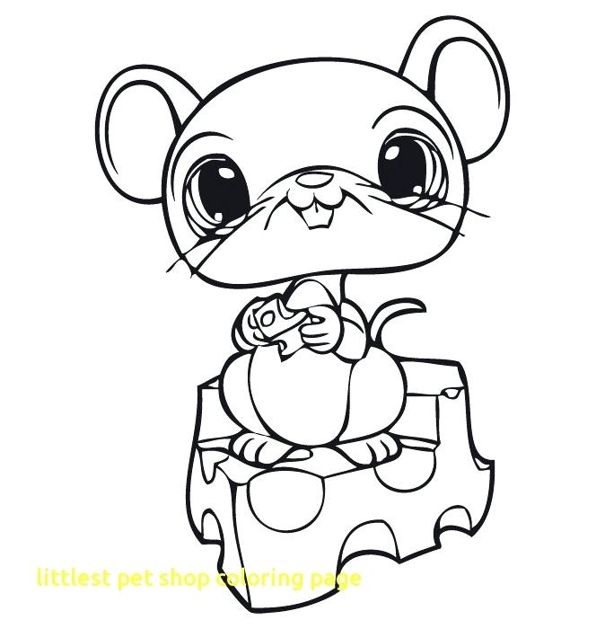 674x700 Littlest Pet Shop Coloring Page Littlest Pet Shop Free Coloring