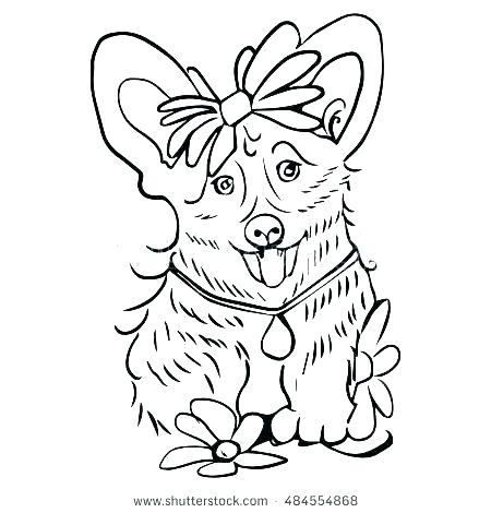450x470 Pet Coloring Pages For Preschoolers Printable Coloring Puppy Dog