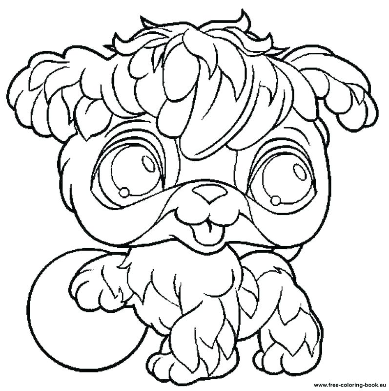 797x800 Littlest Pet Shop Printable Coloring Pages Color