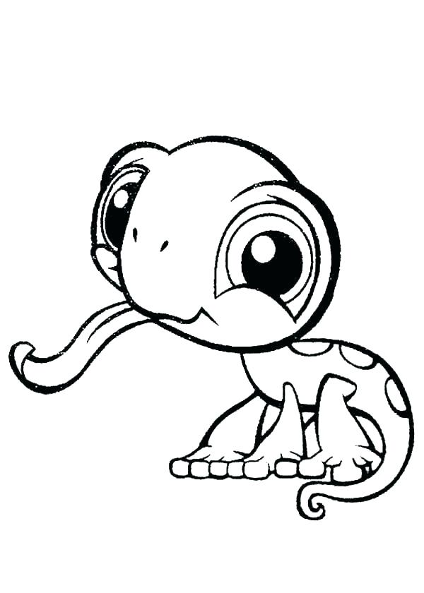 600x840 Lizard Coloring Page Lizard Coloring Pages Iguana Coloring Pages