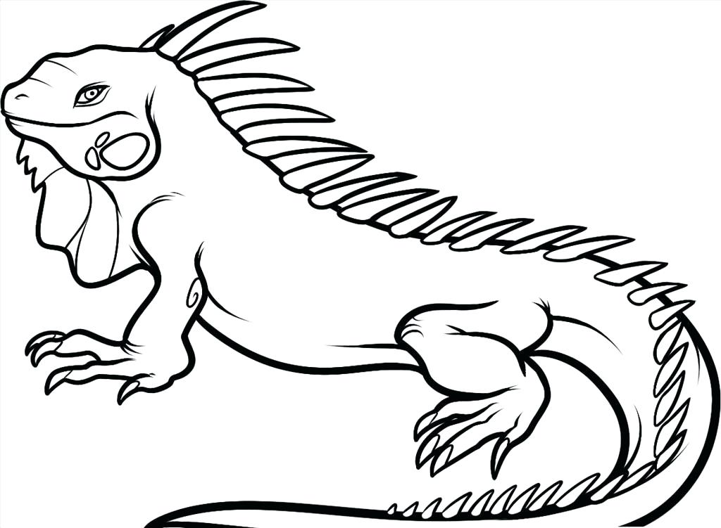 1024x751 Lizard Coloring Pages Best Lizard Coloring Pages Picture Baby