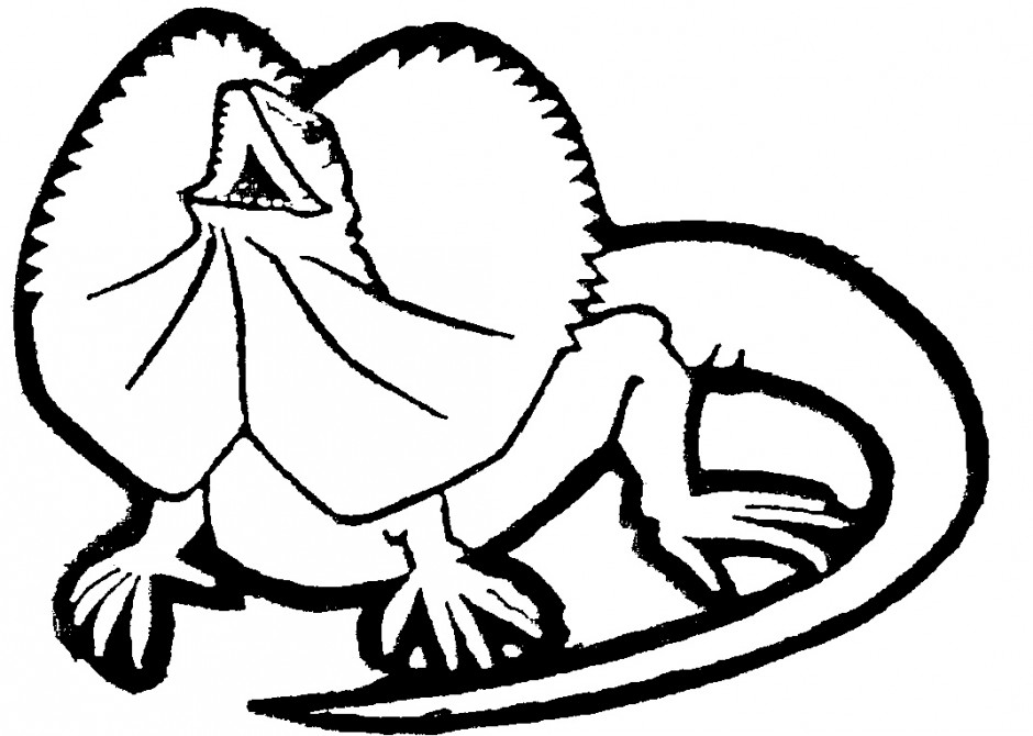 940x670 Lizard Coloring Pages Happy Lizard Coloring Pages Best Coloring