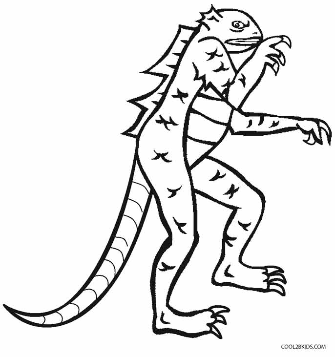 686x731 Printable Lizard Coloring Pages For Kids