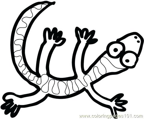 Lizard Coloring Pages For Kids at GetDrawings | Free download