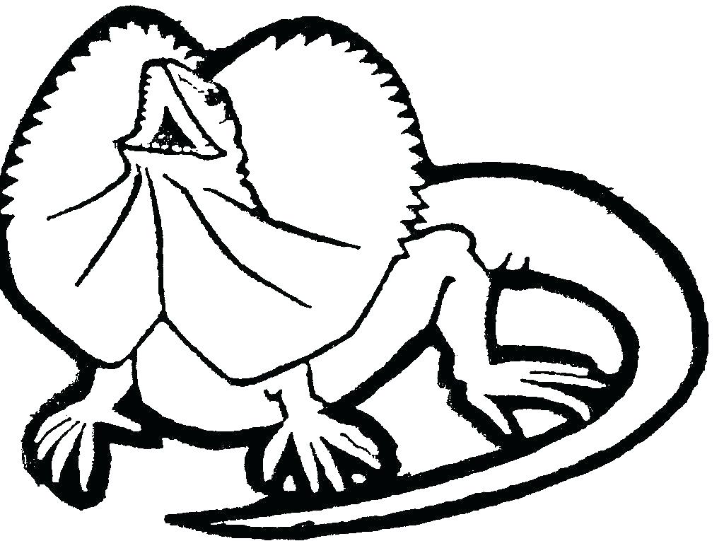 1024x765 Horned Lizard Coloring Page Coloring Home Horned Lizard Coloring