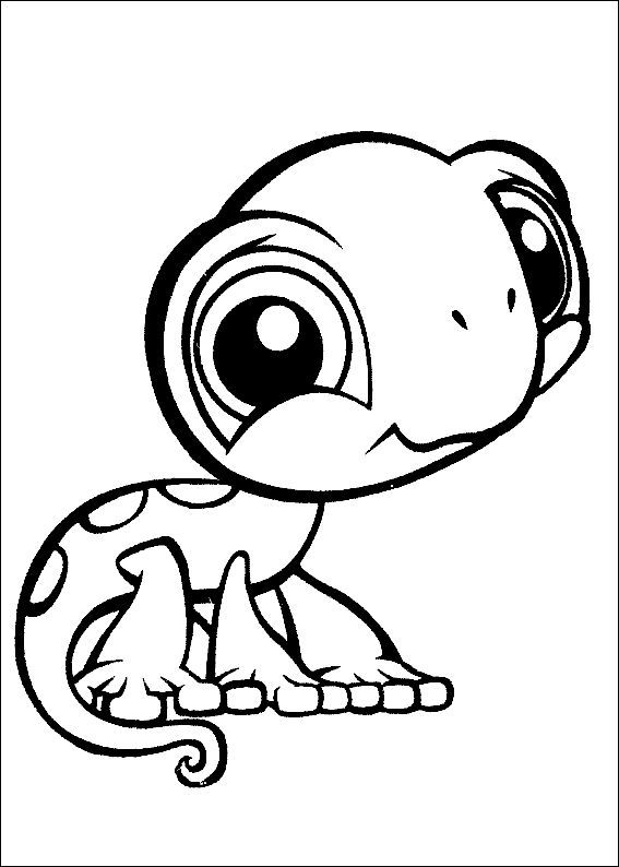 Lizard Coloring Pages To Print